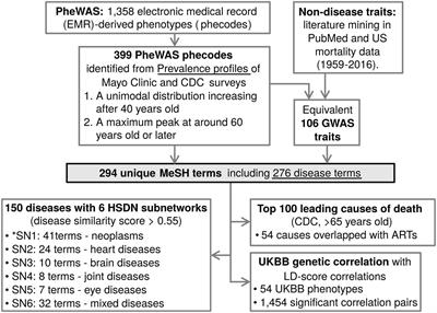 A Compendium of Age-Related PheWAS and GWAS Traits for Human Genetic Association Studies, Their Networks and Genetic Correlations